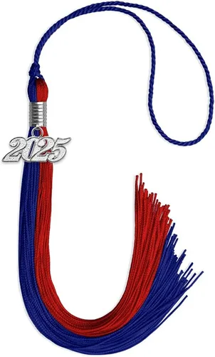 Miniatura 173 de Endea Graduation Borla de doble color con gota de fecha plateada (negro/oro antiguo, 2025)