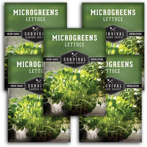 Miniatura 12 de 1 paquete de semillas de lechuga Microgreens para plantar y cultivar, microverduras de hoja verde aptas para principiantes, para interiores, cultiva