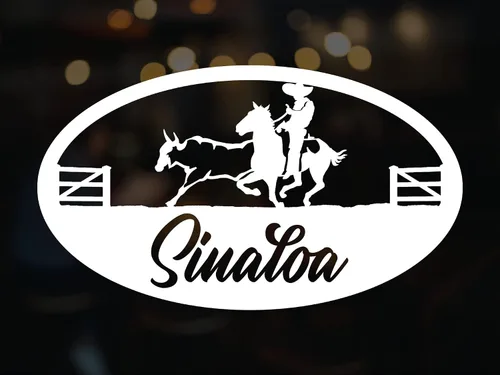 Miniatura 29 de Durango - Adhesivo adhesivo de vinilo para carros diseño Charro de México, Calcomanias para Trocas y Carros (14 x 8 pulgadas, Durango)