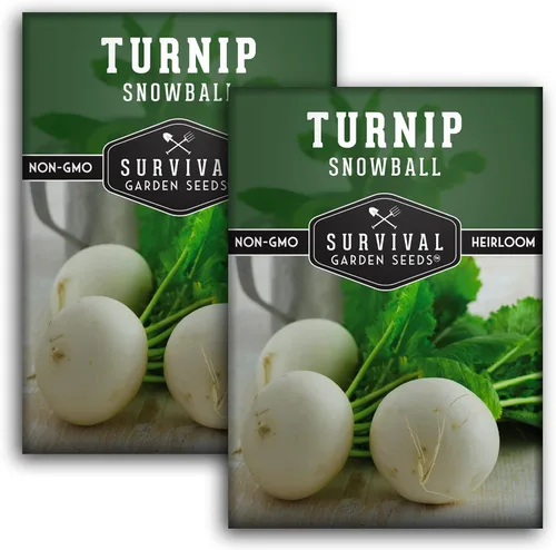 Miniatura 10 de Semillas de nabo para plantar Snowball White Variedad Heirloom No OGM Vegetal de raíz de temporada fresca para jardines de otoño y primavera