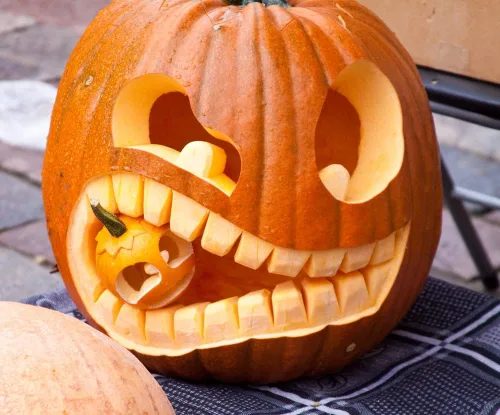 20 semillas de calabaza Big Max para plantar, ideales para Jack-O-Lantern