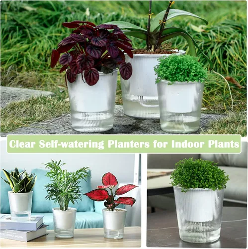 Miniatura 7 de Pack de 6 Macetas de 11.4 cm de Riego Automático y Transparentes para Plantas de Interior, Macetas de Plástico con Mecha para Orquídeas Medianas