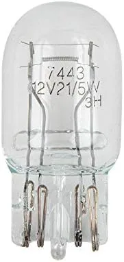 GG Grand General 83986#7443 Bombillas transparentes, 12 V