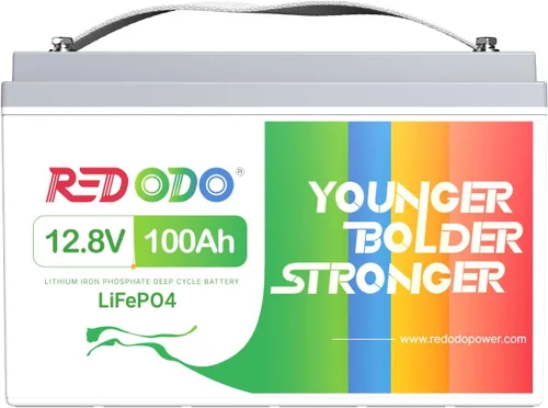 Miniatura 25 de Redodo Paquete de 4 baterías LiFePO4 de 12 V 100 Ah, baterías de ciclo profundo con BMS de 100 A, baterías del grupo 31 para 10 años de vida útil