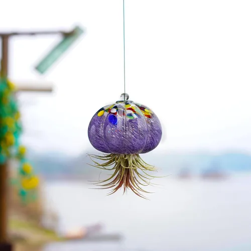 Miniatura 9 de H&D HYALINE & DORA Terrario de cristal soplado a mano colgante con diseño de medusa de aire para plantas de aire, decoración para jardín, porche