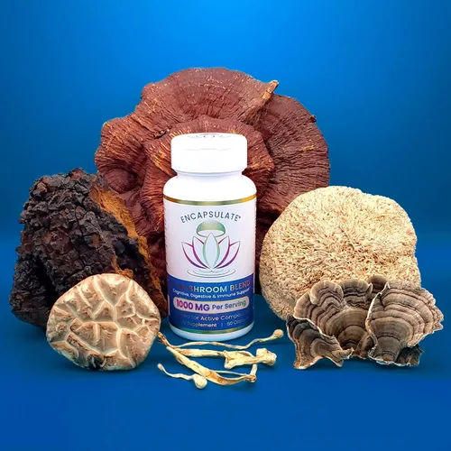 Miniatura 9 de ENCAPSULATE Mezcla de 6 hongos – Reishi, Chaga, cola de pavo, cordyceps, melena de león y extracto de hongo Shiitake 8:1 – Suplemento de hongos