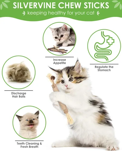Miniatura 2 de TINDTOP Juguetes masticables para gatos, paquete de 12 palitos masticables Silvervine con 2 bolas de jaula para limpieza de dientes de gatitos