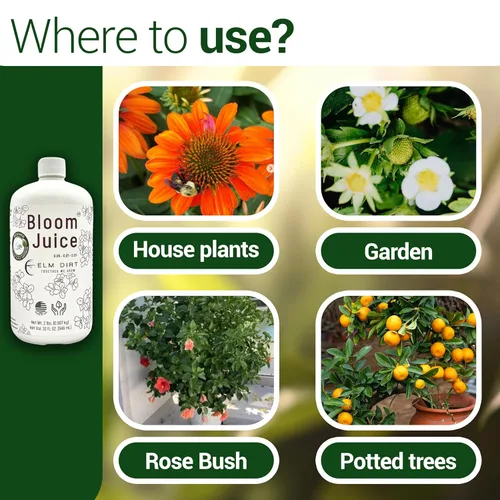 Miniatura 7 de Elm Dirt 's Bloom Juice para todas las plantas con flores (botella de 1-32 onzas)