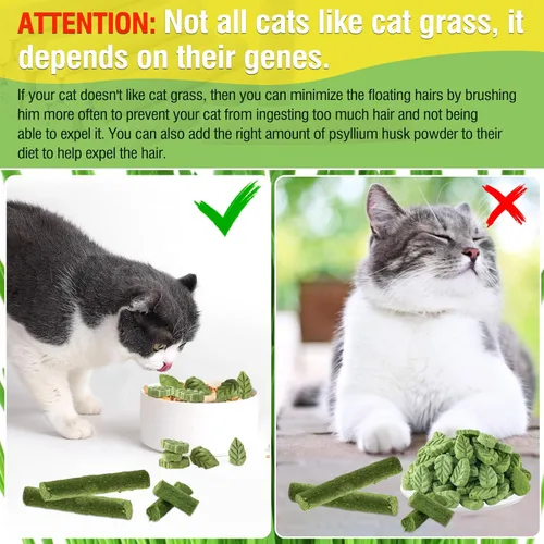 Miniatura 4 de Golosinas de Hierba para Gatos 100g/3.52oz, Varilla de Hierba para Gatos para Dentición para Eliminar Bolitas de Pelo y Limpieza de Dientes, Palo
