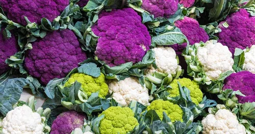 Semillas de col de coliflor Mezcla de vegetales no transgénicos para plantar