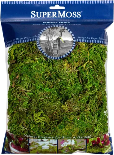 SuperMoss Musgo forestal preservado perfecto para plantas de interior, manualidades y decoración, verde fresco, 4 onzas