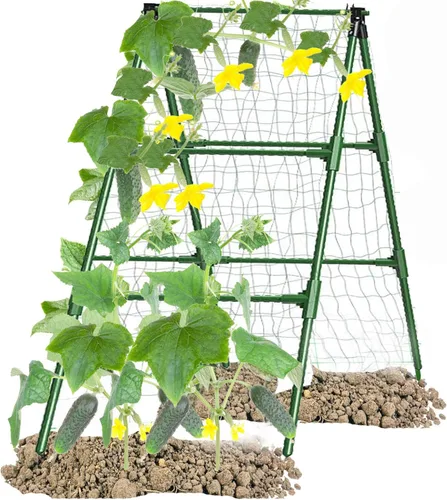 Enrejados de pepino en un marco para plantas con soporte verde enrejado para pepino, plantas trepadoras, verduras, flores (verde) 47 x 15 pulgadas