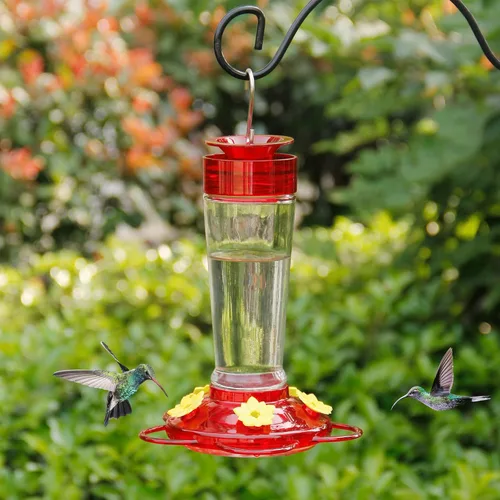 Shrdaepe Comedero para colibríes, comedero para pájaros con botella de vidrio, 5 puertos de alimentación, capacidad de néctar de 10 onzas Rojo
