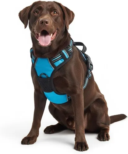 Miniatura 25 de Arnés para perro sin tirones, chaleco táctico verde XL, arnés extra grande de nailon 900D resistente con asas de fácil control, chaleco acolchado