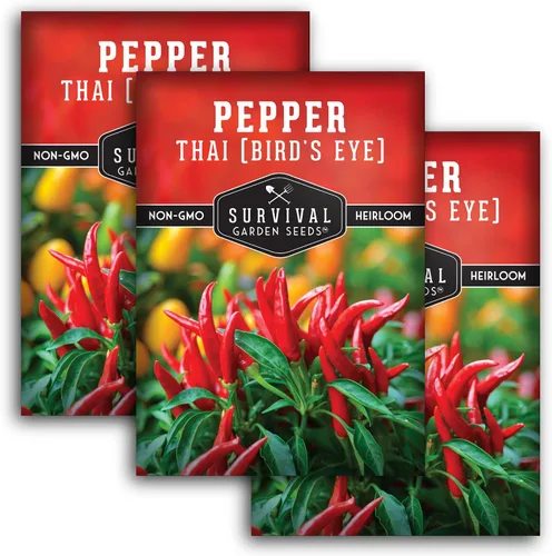 Miniatura 11 de Semillas de chile tailandés para plantar Pimientos picantes de ojo de pájaro – Chile picante sin OMG para cocina picante y jardines