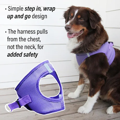 Miniatura 4 de Doggie Design Arnés para perro – Arnés sin estrangulamiento para mascotas, chaleco para perro, malla de poliéster, diseño simple, chaleco