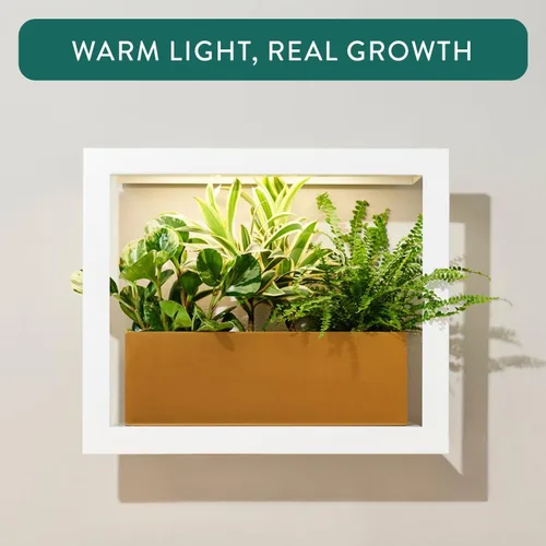 Miniatura 5 de Modern Sprout Smart Growframe - Soporte para plantas montado en la pared con luz LED de cultivo - Control inteligente por aplicación - Marco