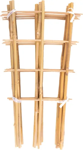 Avalution Paquete de 10 Enrejados de Bambú para Plantas Trepadoras de 16" Enrejado de Escalera de Jardín Natural en Forma de Abanico, Soporte para