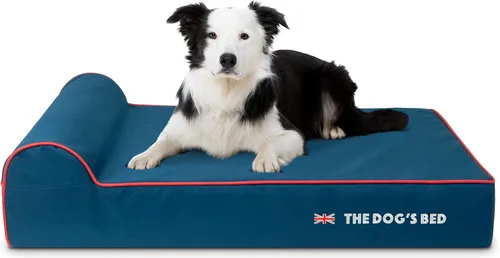 Miniatura 23 de The Dog's Bed - Cama Ortopédica para Perros con Reposacabezas XL Negra de Felpa, Espuma Viscoelástica, Alivio del Dolor para Artritis, Displasia