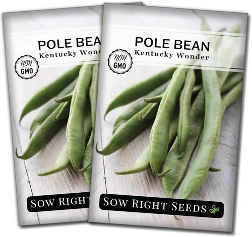 Miniatura 7 de Sow Right Seeds - Semillas de frijol Wonder Pole de Kentucky para plantar - Paquete de reliquia sin OMG con instrucciones para plantar un huerto
