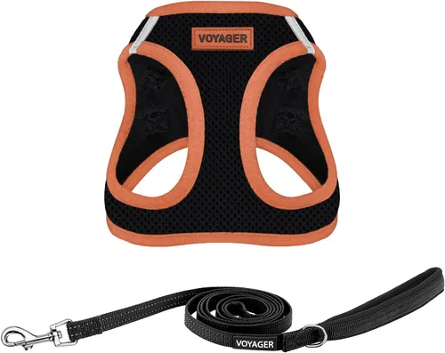 Miniatura 15 de Arnés de malla para todo clima Voyager Step-in Air y combo de correa reflectante para perro de 5 pies con mango de neopreno, para cachorros de razas