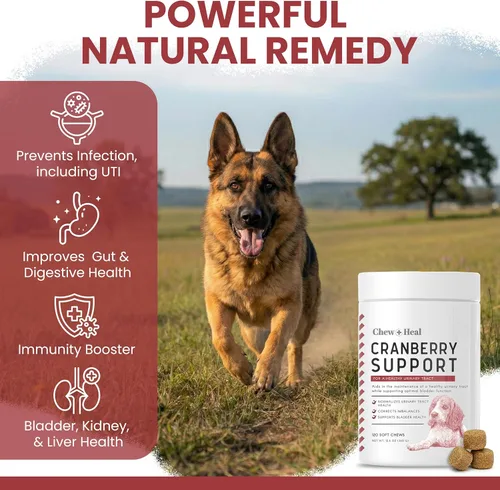 Miniatura 3 de Suplemento de arándano para perros, 120 masticables suaves, apoyo natural para infecciones del tracto urinario y control saludable de la vejiga