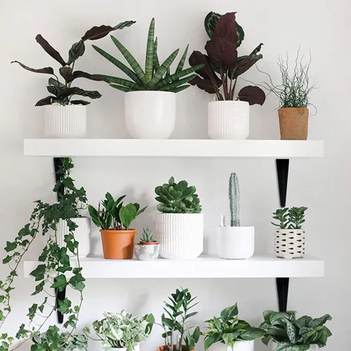 Miniatura 6 de Paquete de 20 soportes flotantes de metal negro resistente de 4 x 3 pulgadas, soporte en L, soporte de esquina para montaje en pared, capacidad