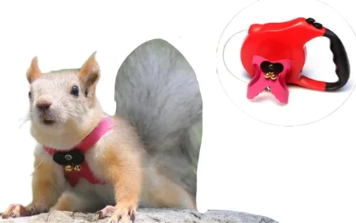 Miniatura 8 de Correa de cuerda de tracción de ardilla, cuerda de cadena antimordeduras, arnés para caminar pequeños animales con correa extensible para hámster