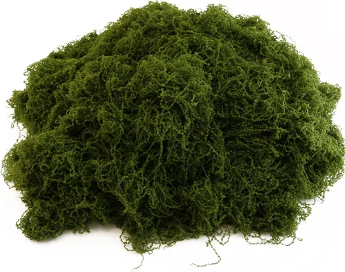 Miniatura 7 de El musgo verde oscuro se utiliza para manualidades, musgo artificial, rellenos de jarrones de vidrio, bodas, Navidad, fiestas verdes de primavera