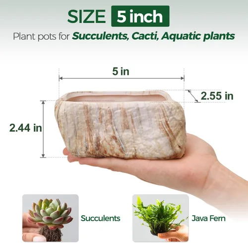 Miniatura 2 de T4U Maceta de cerámica para suculentas de 5.5 pulgadas con orificio de drenaje, juego de 3, caja rectangular con forma de piedra, contenedores