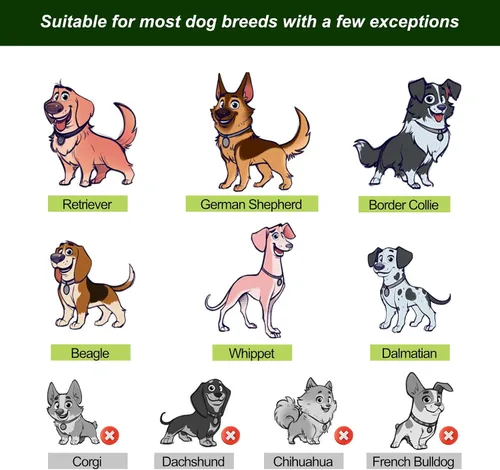Miniatura 4 de Rodillera de perro para patas traseras con cuello y correa adicionales, alivia el dolor y las molestias en las articulaciones, mejora la movilidad