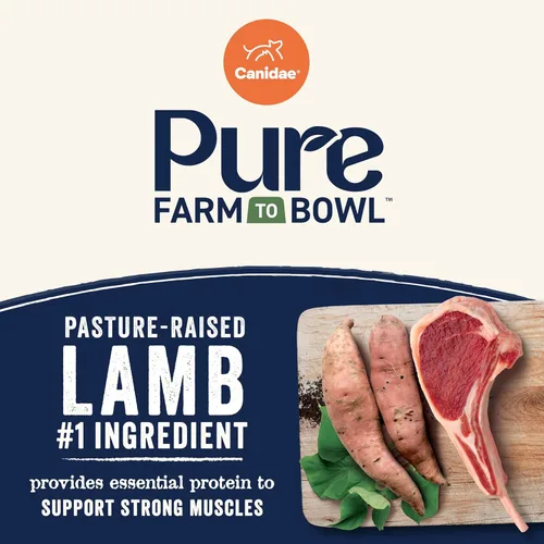 Miniatura 4 de Canidae Pure Farm to Bowl - Alimento seco para perros con cordero criado en pastos y batata, sin granos, 4 libras