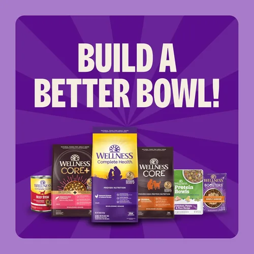 Miniatura 8 de Wellness Complete Health - Alimento seco para perros, sin granos, natural, receta de cordero, (bolsa de 24 libras)