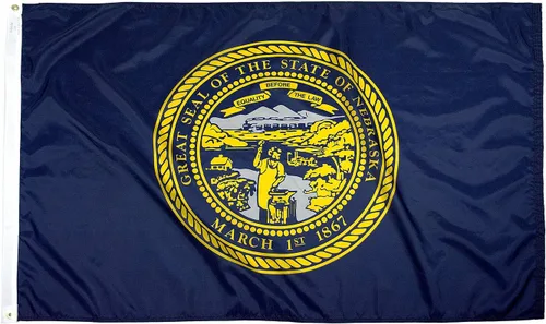 Miniatura 49 de FlagSource Bandera del estado de nailon de Iowa, fabricada en los Estados Unidos, 4 x 6 pies Iowa 4x6