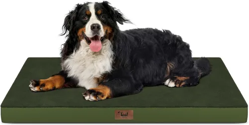Miniatura 131 de Cama ortopédica de felpa para perros y cachorros medianos, camas impermeables para perros de 30 x 20 pulgadas con funda extraíble lavable, tapete