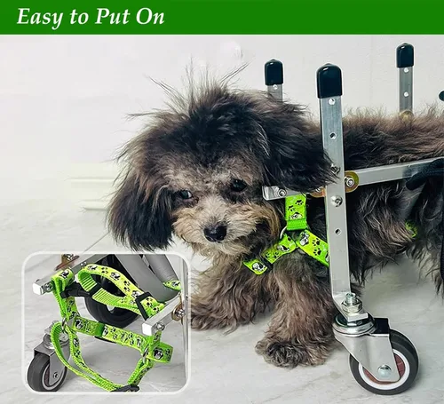 Miniatura 8 de Silla de ruedas para perro, carrito para mascotas de soporte completo con cuatro ruedas, carrito ligero para perros para patas delanteras/traseras