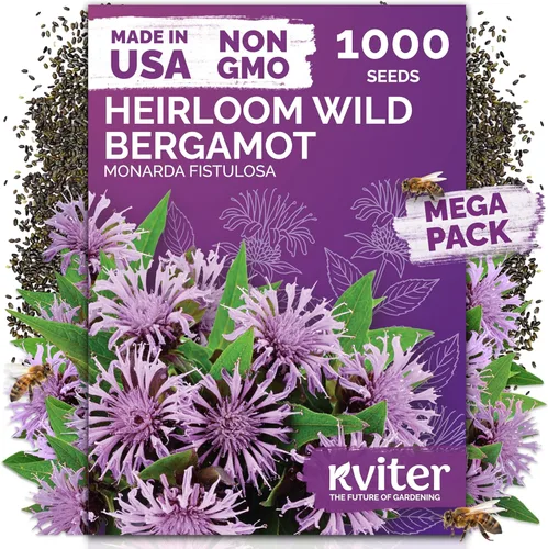 Miniatura 27 de KVITER 1600 semillas de pensamiento de los gigantes suizos para plantar (Viola wittrockiana) - Paquetes de semillas de colores mixtos Flores