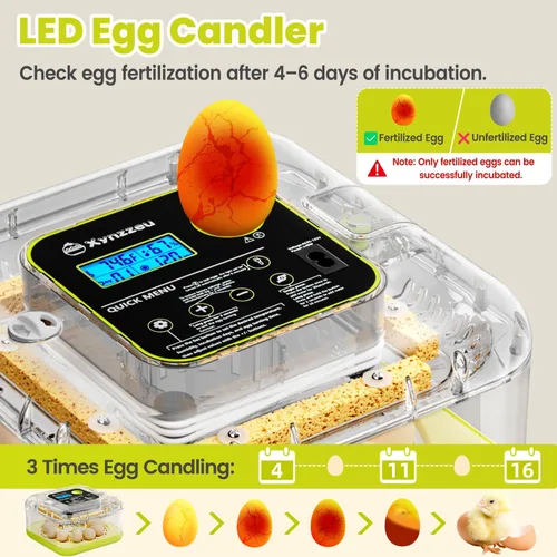 Miniatura 5 de Incubadoras de huevos para incubar huevos, incubadora de 12 huevos con giro automático de huevos y control de humedad, incubadora para huevos