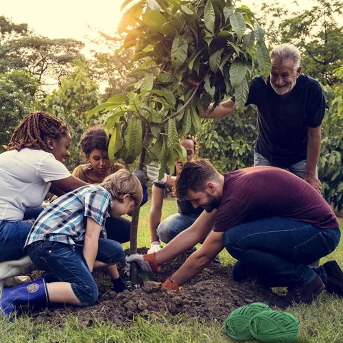 Miniatura 5 de BBTO Cordel de jardín suave para plantas, lazo verde para jardín, cinta elástica de jardinería, soporte de plantas para atar el hogar, plantas