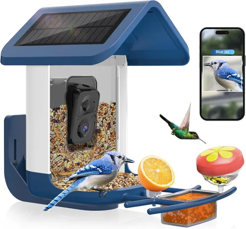 Comedero para pájaros con cámara alimentado por energía solar: Cámara inteligente Comedero para pájaros 2K Cámara de alimentación en vivo para patio