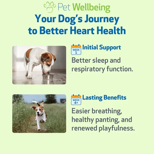 Miniatura 4 de Pet Wellbeing Young at Heart para perros - Apoyo a la salud cardíaca para personas mayores, bienestar cardiovascular con espino y agripalma