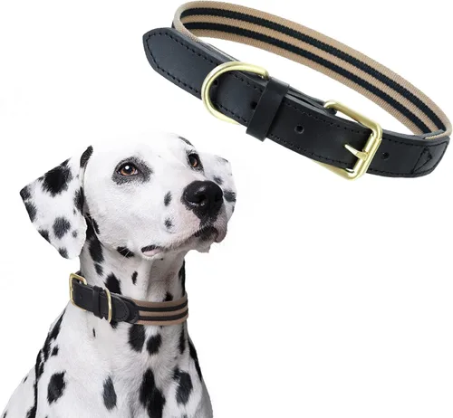 Miniatura 15 de Mile High Life Collares para perros, collares de algodón suave con hebilla de metal pesado, collar clásico para cachorros con puntas de cuero