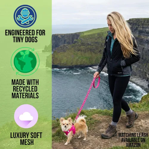 Miniatura 2 de EcoBark Arnés para perro – Arneses ecológicos para perros XXS, XS y pequeños – Chaleco de cuerpo pequeño reflectante y ajustable – Arnés de malla