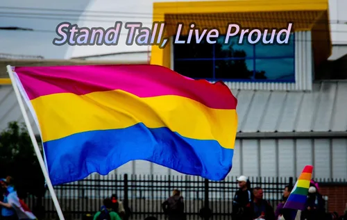 Miniatura 5 de Bandera pansexual – Cosas de orgullo Lgbtq para pared, cuatro filas de costuras, con 1 pin pansexual y 2 calcomanías de arcoíris aleatorias
