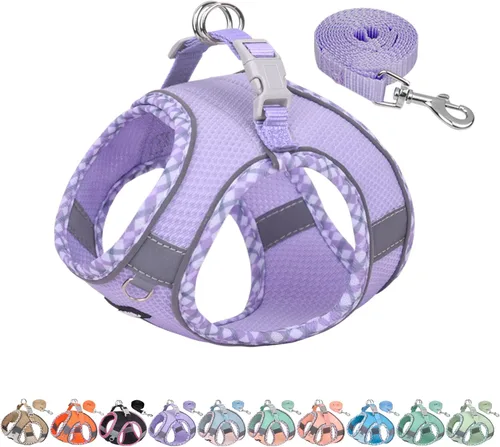 Miniatura 15 de AIITLE Arnés y Correa para Perro XXS - Arnés Pequeño para Perro Reflectante y sin Tirones, Transpirable para Cachorros Taza, Uso en Negro