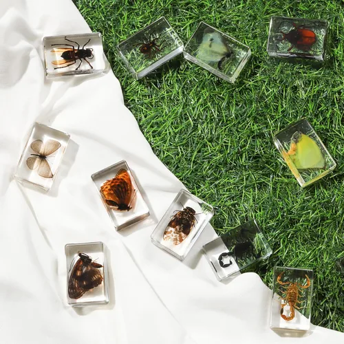 Miniatura 6 de Colección de 12 piezas de insectos en resina, juego educativo de especímenes de insectos para niños, perfecto para preescolar, ciencia de aula