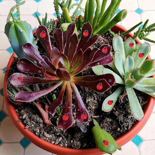 Miniatura 4 de 150 piezas de mini decoración de mariquita de resina, mini figuras de resina S para jardín de hadas, decoración de paisaje, decoración de pasteles