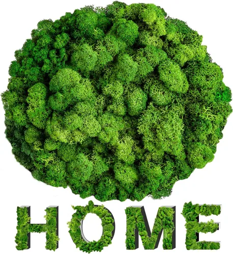 Sukh Musgo preservado – Musgo de 3.5 onzas para manualidades, musgo sintético de musgo verde natural, arte para pared, terrarios de musgo floral,