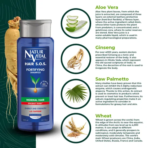 Miniatura 4 de NaturVital Champú revitalizante para cabello orgánico de aloe vera y ginseng unisex, natural para cabello normal, evita la rotura del cabello, libre