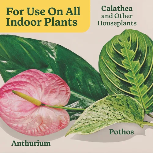 Miniatura 9 de Miracle-Gro Alimento para plantas de interior para todas las plantas, alimento líquido para plantas de interior, flores, verduras, hierbas y más, 8